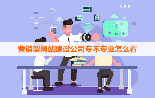 營(yíng)銷型網(wǎng)站建設(shè)公司一定要看其專業(yè)性 營(yíng)銷型網(wǎng)站建設(shè)公司一定要看其專業(yè)性